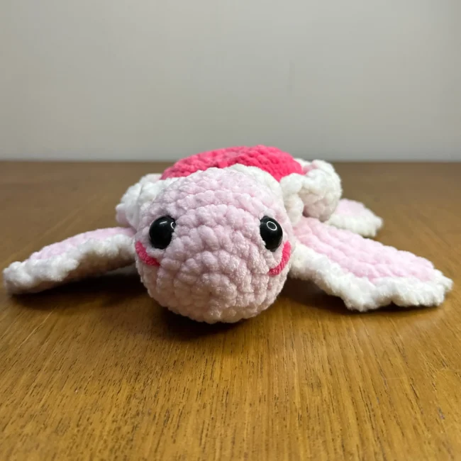 Heart Turtle