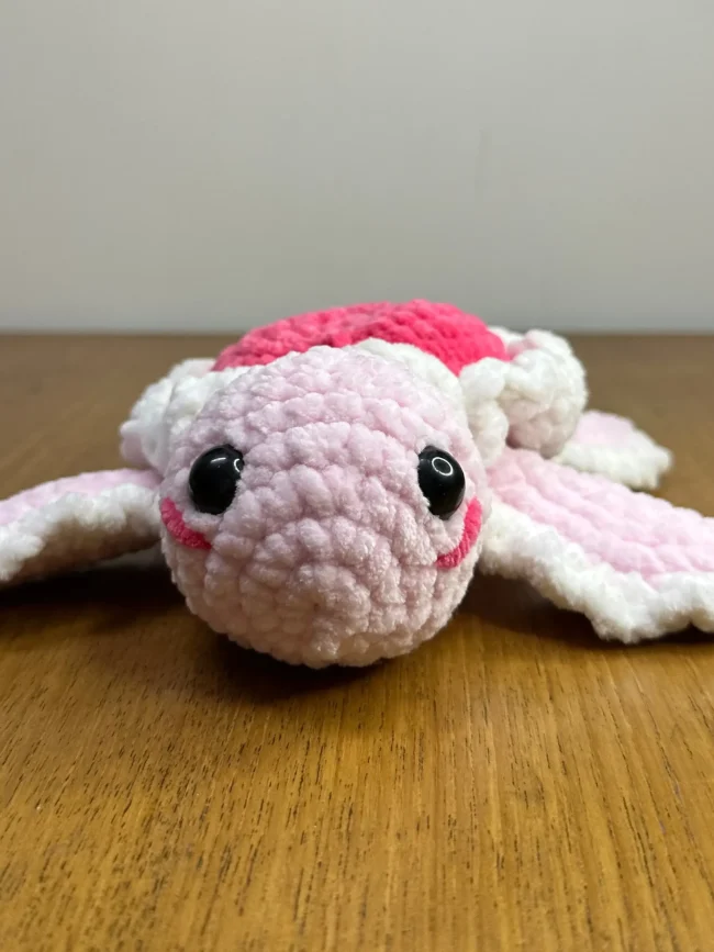 Heart Turtle